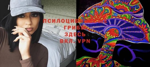 винт Верея